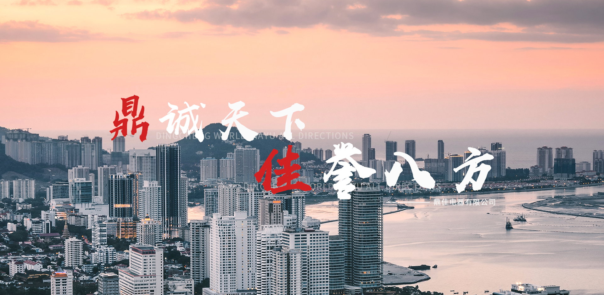 鼎佳電器有限公司